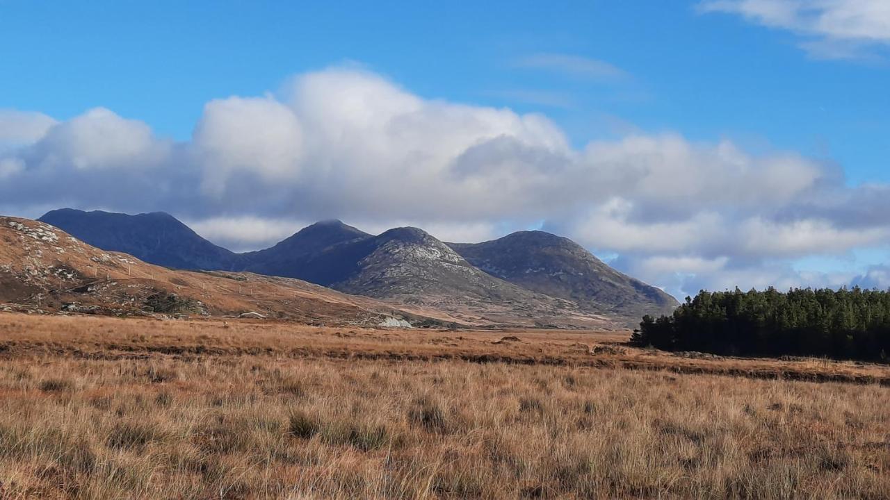 Clifden Wildflower Cottage - Clifden Countryside Lettings Exteriör bild