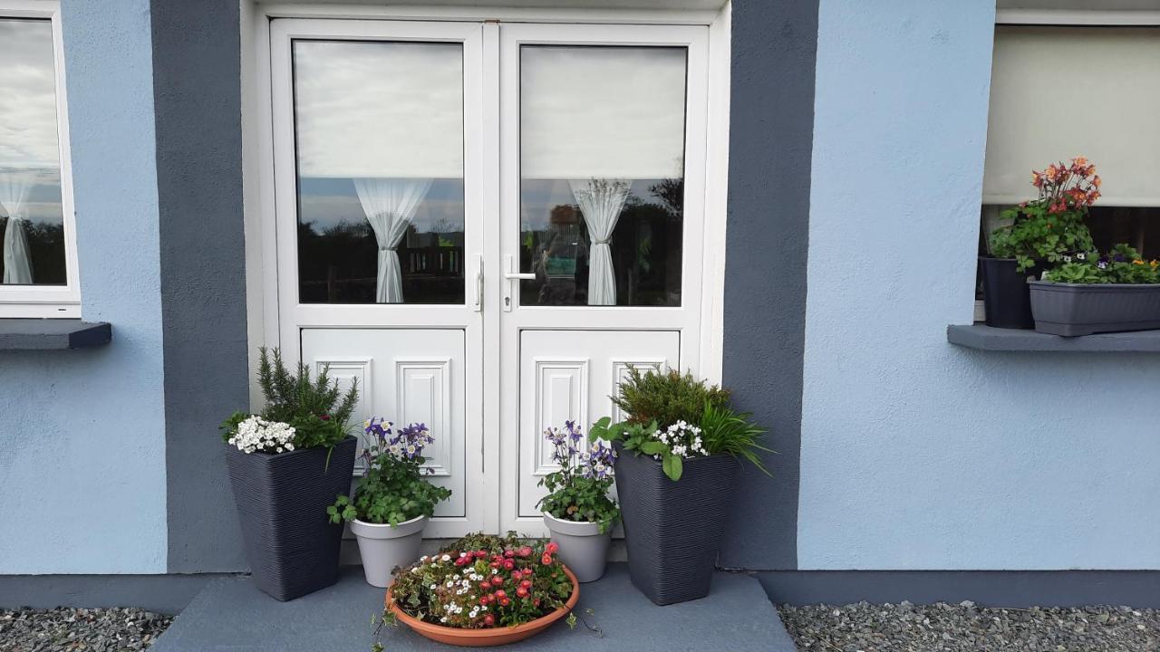 Clifden Wildflower Cottage - Clifden Countryside Lettings Exteriör bild