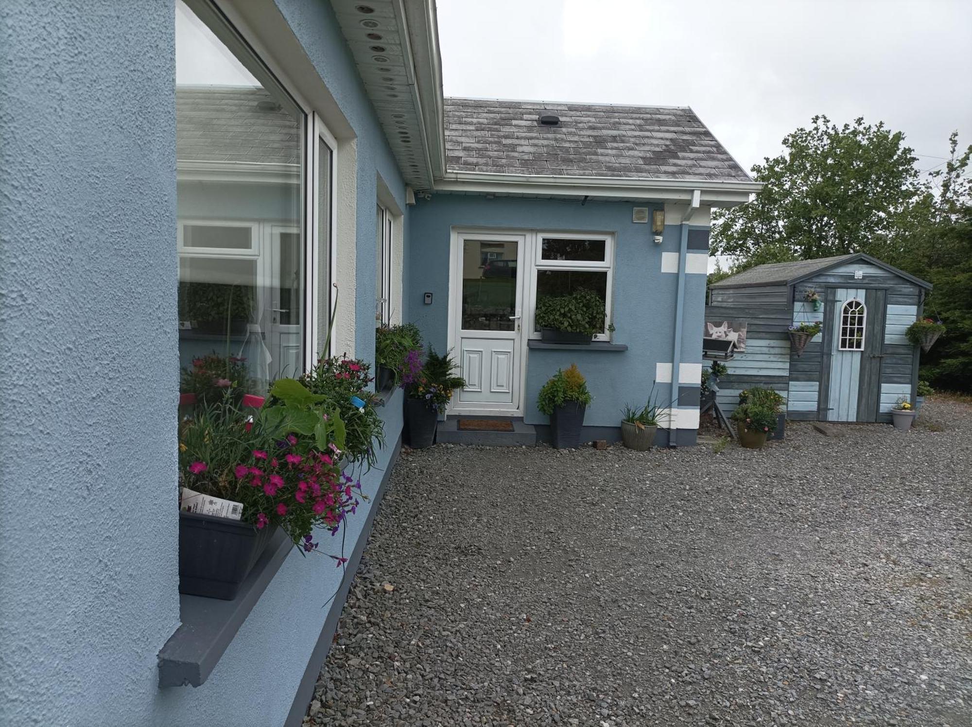 Clifden Wildflower Cottage - Clifden Countryside Lettings Exteriör bild