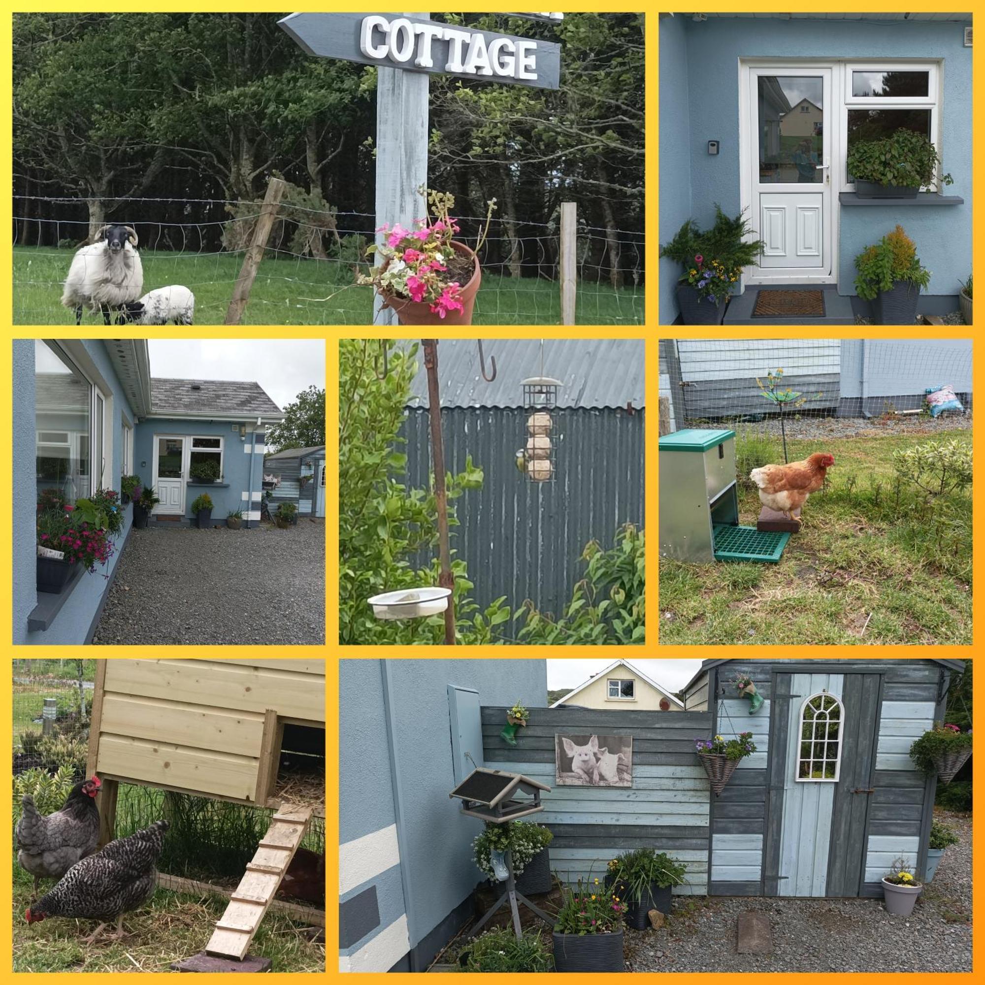 Clifden Wildflower Cottage - Clifden Countryside Lettings Exteriör bild