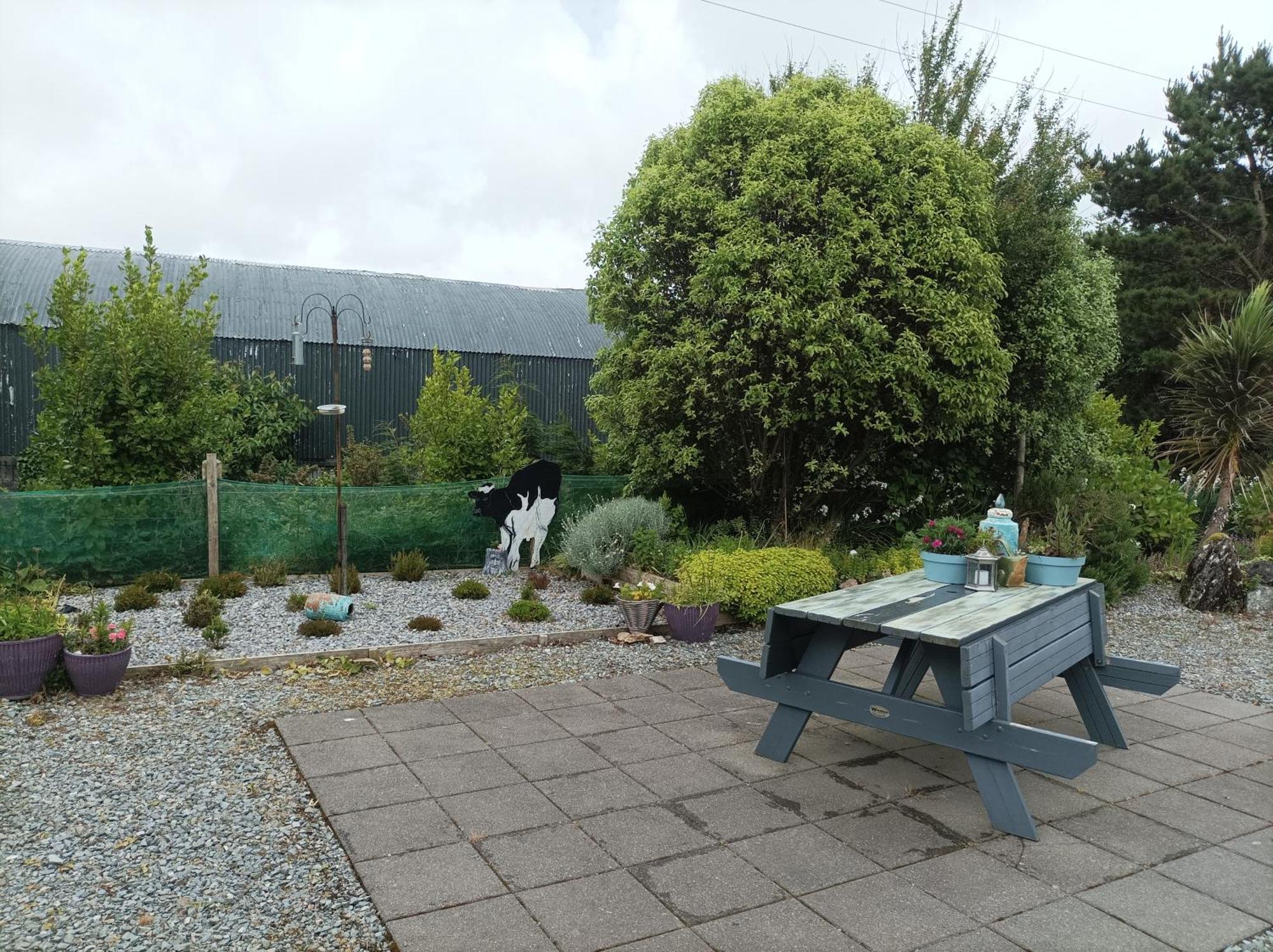 Clifden Wildflower Cottage - Clifden Countryside Lettings Exteriör bild